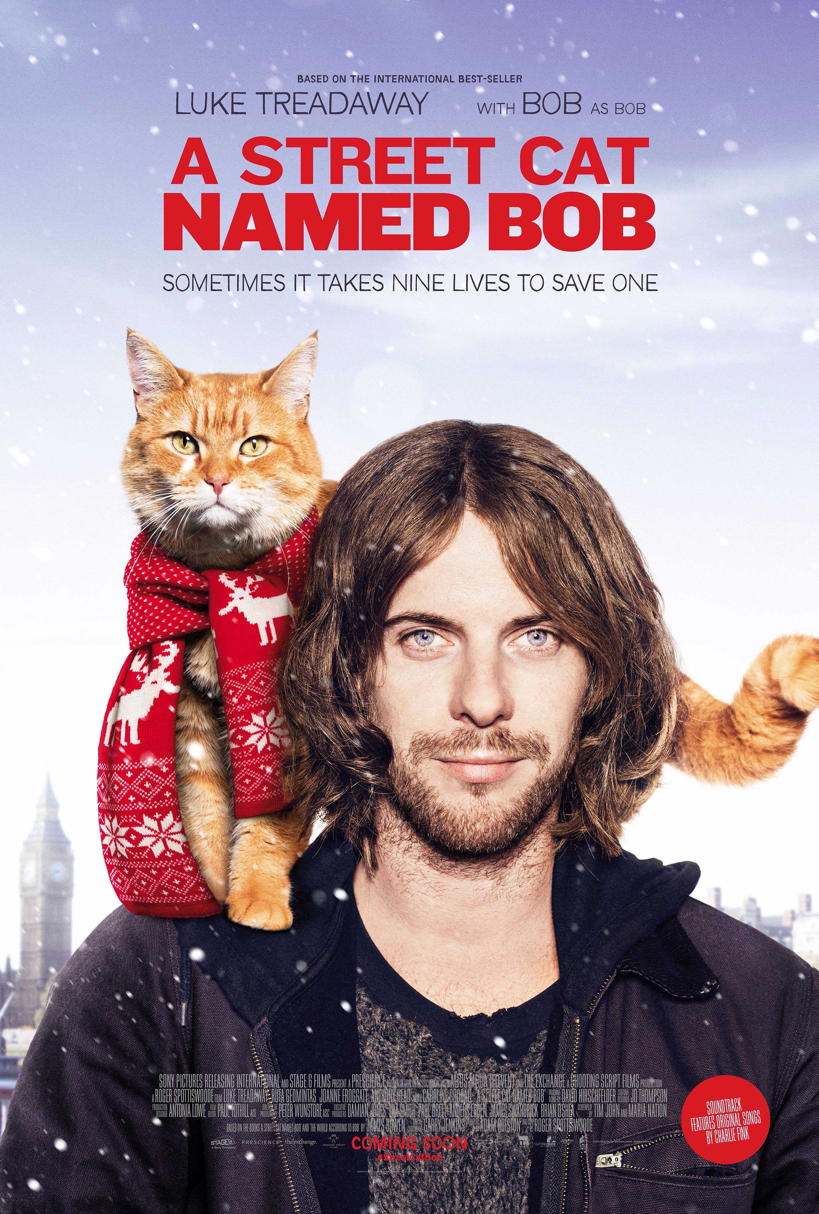 (A street cat named Bob poster)